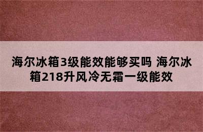 海尔冰箱3级能效能够买吗 海尔冰箱218升风冷无霜一级能效